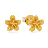 Prima Gold Flower Earrings 111E2635-01