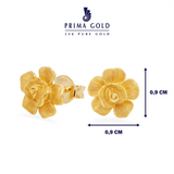 Prima Gold Rose 111E2646-01