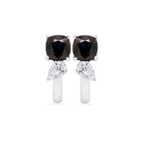 Earings 4ER313