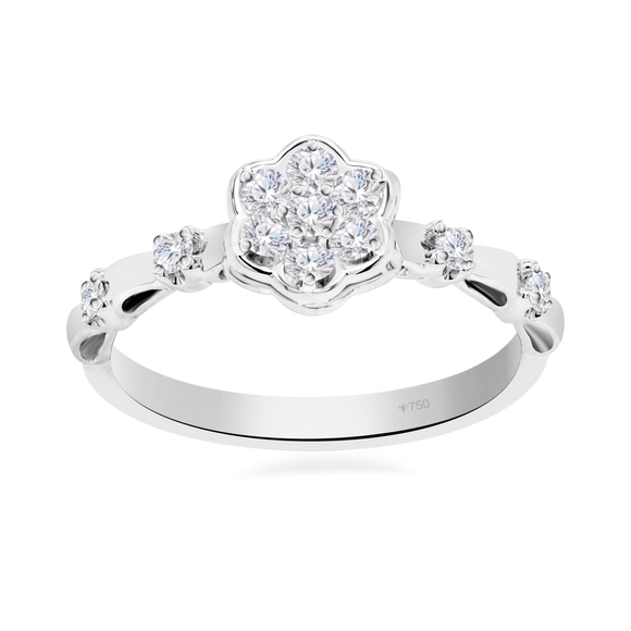 Ladies Ring 6LR484